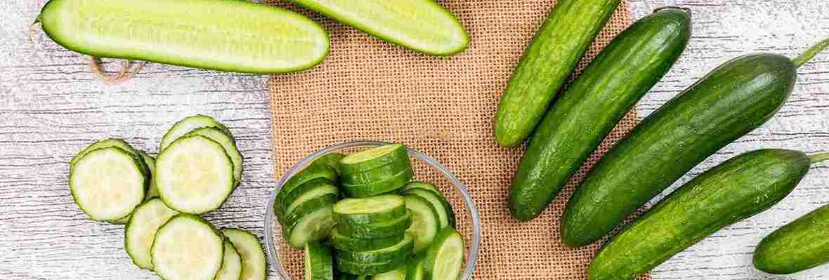 تصویر 1 از قیمت خرید خیار قلمی ریز + فروش ویژه
